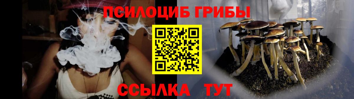 Псилоцибиновые грибы Psilocybe  цена наркотик  Вход с VPN  Йошкар-Ола  Галлюциногенные грибы прущие грибы 